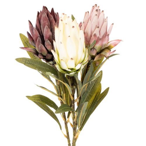 Kwiat sztuczny protea Leucadendron 100cm 3szt kupić | Floristik24.pl
