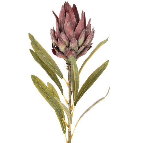 Kwiat sztuczny protea Leucadendron 100cm 3szt | Floristik24.pl