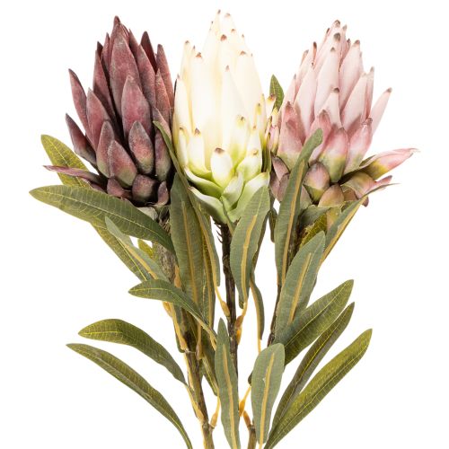 Kwiat sztuczny protea Leucadendron 100cm 3szt | Floristik24.pl