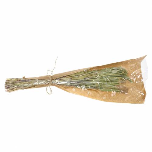 Floristik24 Tymotka pospolita natura 50-60cm 100g