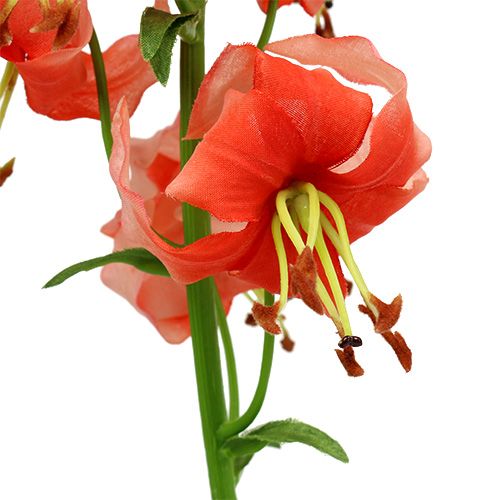 Floristik24 Lilia 87,5cm Łosoś