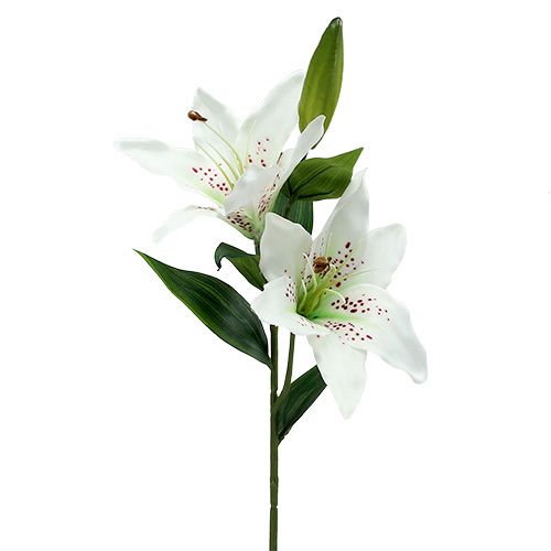 Floristik24 Lilia Biała 66 cm