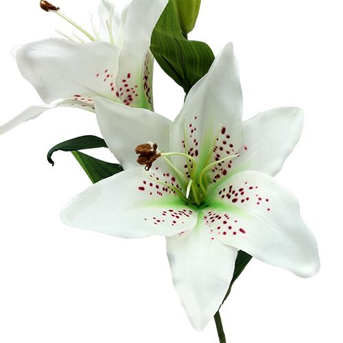 Floristik24 Lilia Biała 66 cm