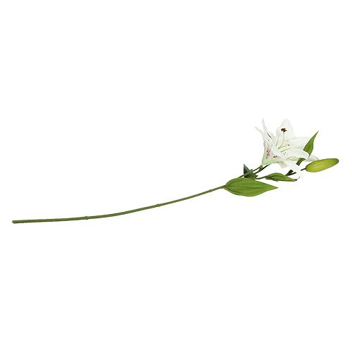 Floristik24 Lilia Biała 66 cm