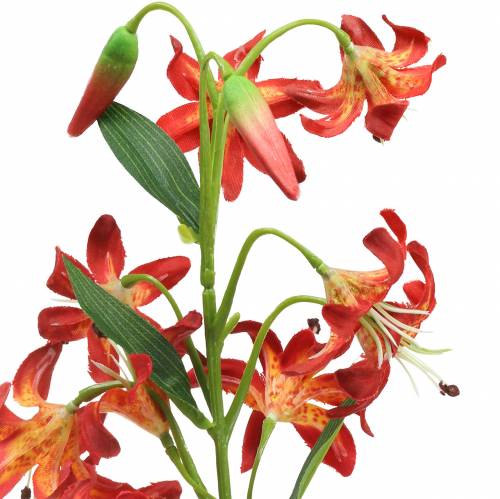 Floristik24 Lilia Pomarańczowa 82cm