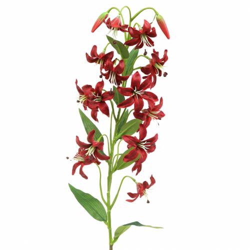 Floristik24 Lilia Czerwona 82cm
