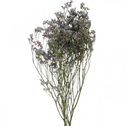 Floristik24 Suszone Kwiaty, Lawenda Morska, Statice Tatarica, Lawenda Morska, Fiolet Limonium L45–50cm 30g