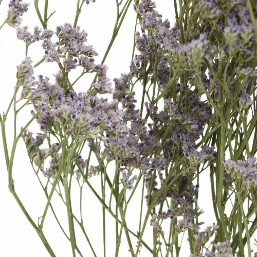 Floristik24 Suszone Kwiaty, Lawenda Morska, Statice Tatarica, Lawenda Morska, Fiolet Limonium L45–50cm 30g