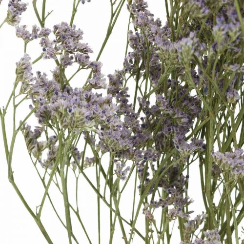 Produkt Suszone Kwiaty, Lawenda Morska, Statice Tatarica, Lawenda Morska, Fiolet Limonium L45–50cm 30g