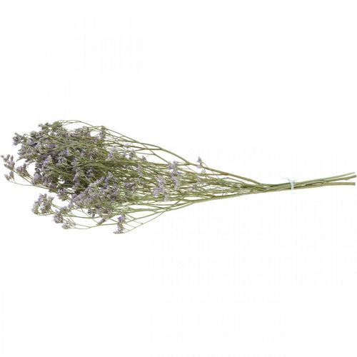 Floristik24 Suszone Kwiaty, Lawenda Morska, Statice Tatarica, Lawenda Morska, Fiolet Limonium L45–50cm 30g