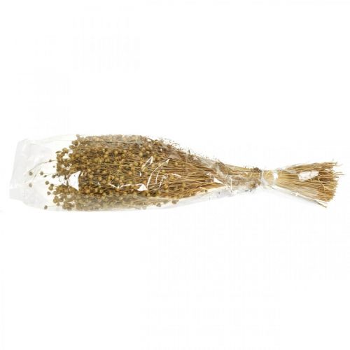 Floristik24 Len naturalny, trawy do florystyki suchej, Linum produkt naturalny 160g