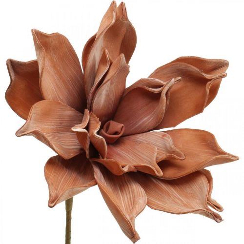 Produkt Kwiat Lotosu Sztuczna Roślina Sztuczny Kwiat Lotosu Brązowy L64cm
