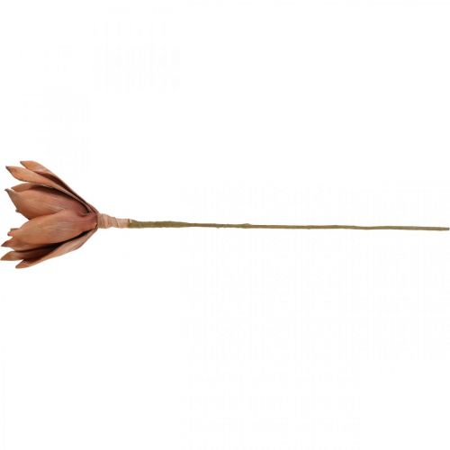 Floristik24 Kwiat Lotosu Sztuczna Roślina Sztuczny Kwiat Lotosu Brązowy L64cm