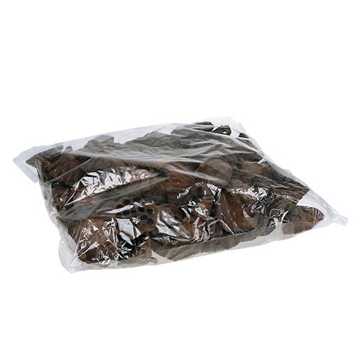 Produkt Kolby Lotos duże 100 sztuk naturalne