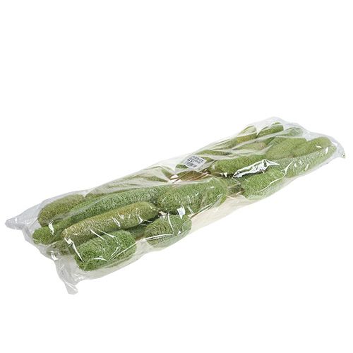 Produkt Luffa duża na patyku zielona 25 szt