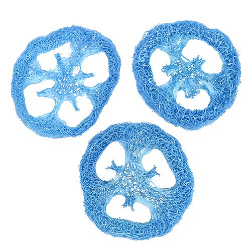 Floristik24 Krążki Loofah błękitne 25 szt