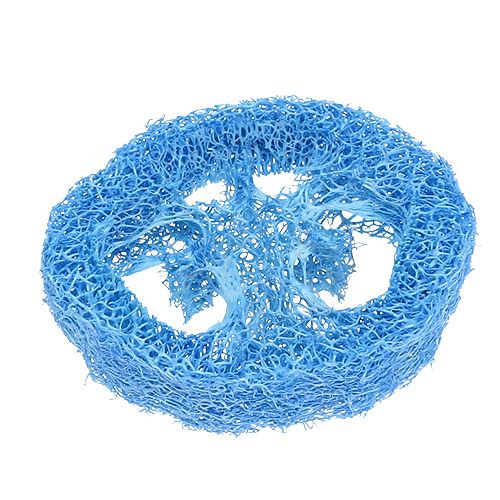 Floristik24 Krążki Loofah błękitne 25 szt