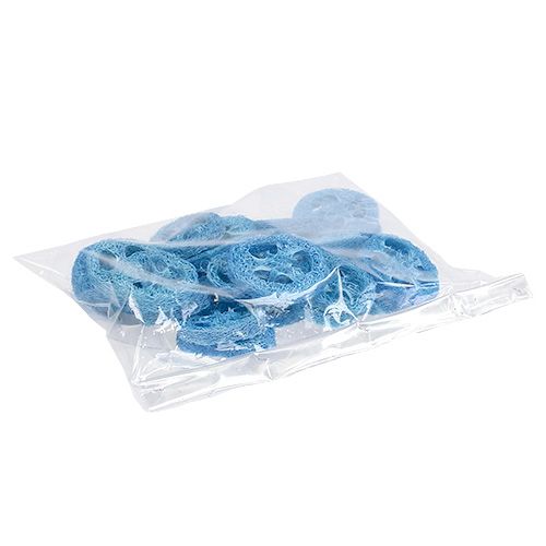 Floristik24 Krążki Loofah błękitne 25 szt