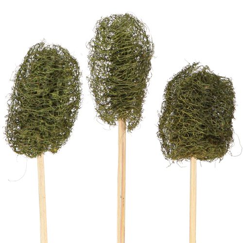 Floristik24 Luffa mała na patyku gąbka ogórek ciemnozielony 5-7cm 25 szt