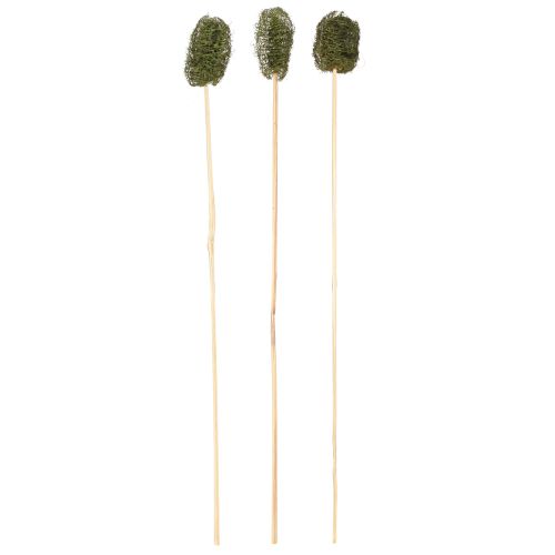 Floristik24 Luffa mała na patyku gąbka ogórek ciemnozielony 5-7cm 25 szt