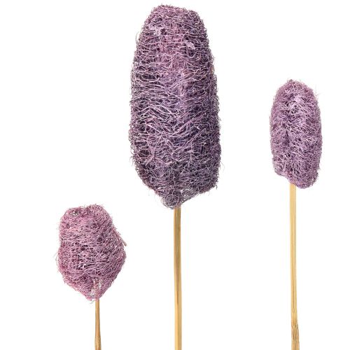 Luffa na łodydze mała suszona jagoda ozdobna 5-12cm 25szt