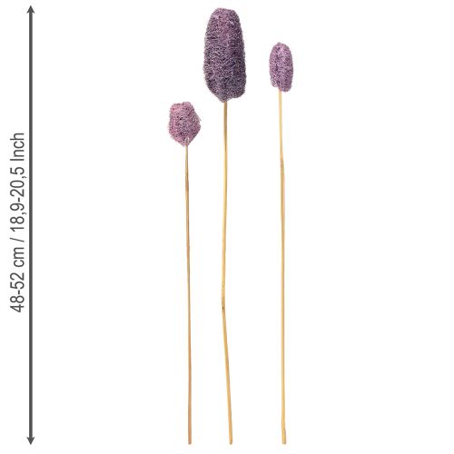 Produkt Luffa na łodydze mała suszona jagoda ozdobna 5-12cm 25szt