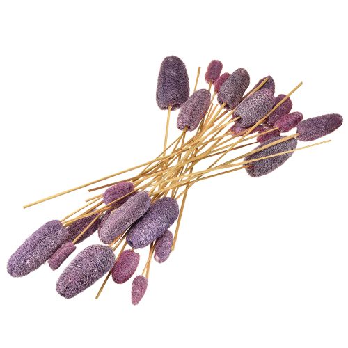 Produkt Luffa na łodydze mała suszona jagoda ozdobna 5-12cm 25szt
