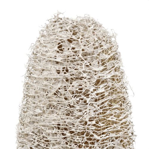 Produkt Luffa mała na patyku biała myta 25 szt