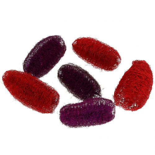 Floristik24 Loofah różne fioletowe, winne czerwone 9cm - 12cm 50 szt