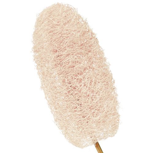 Produkt Luffa duża na patyku, bielona, 25 sztuk