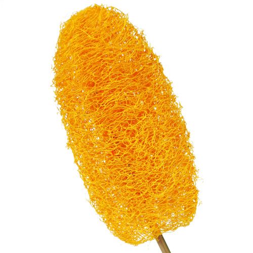 Produkt Luffa duża na patyku złotożółta 25 szt