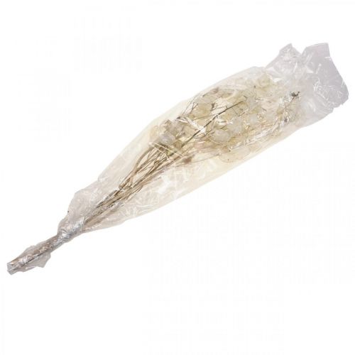 Produkt Lunaria suszone kwiaty fiołka księżycowego srebrzysty liść suszony 60-80cm 30g