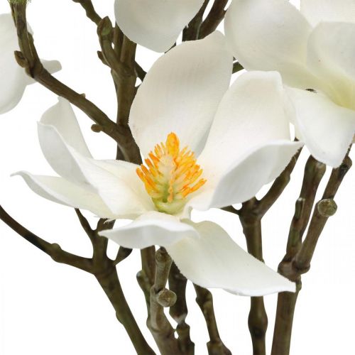 Floristik24 Sztuczne gałązki magnolii biała gałązka dekoracyjna wys. 40 cm 4 szt. w pęczku
