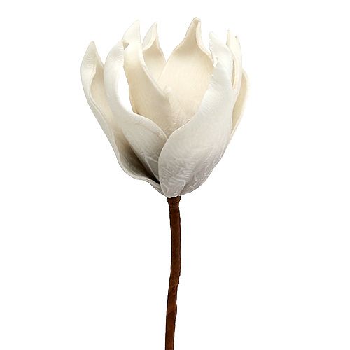 Floristik24 Pianka Magnolia Kwiat szary, biały Ø10cm L26cm 4szt.