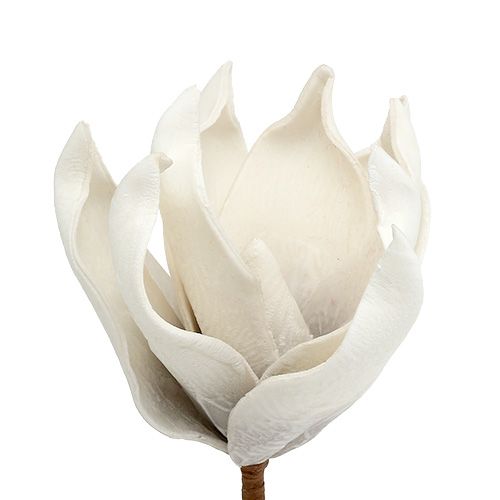 Floristik24 Pianka Magnolia Kwiat szary, biały Ø10cm L26cm 4szt.