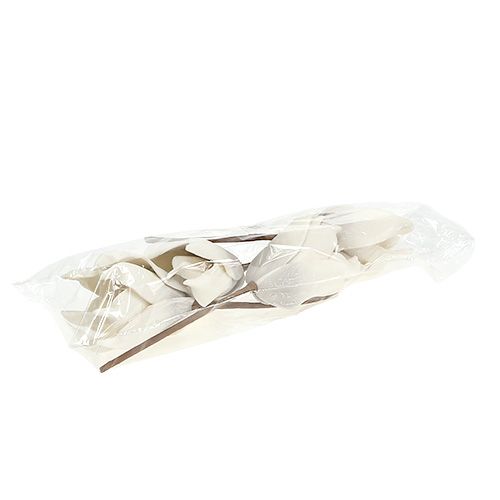 Floristik24 Pianka Magnolia Kwiat szary, biały Ø10cm L26cm 4szt.