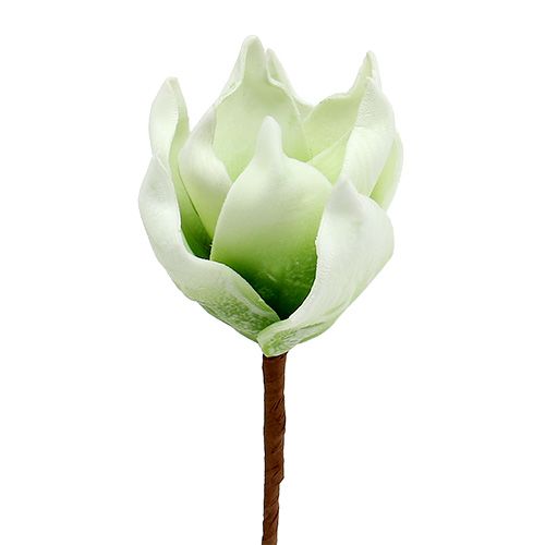 Floristik24 Tkanina Piankowa Kwiat Magnolii Biały Zielony Ø10cm L26cm 4szt.