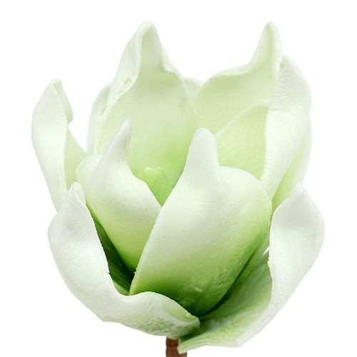 Floristik24 Tkanina Piankowa Kwiat Magnolii Biały Zielony Ø10cm L26cm 4szt.