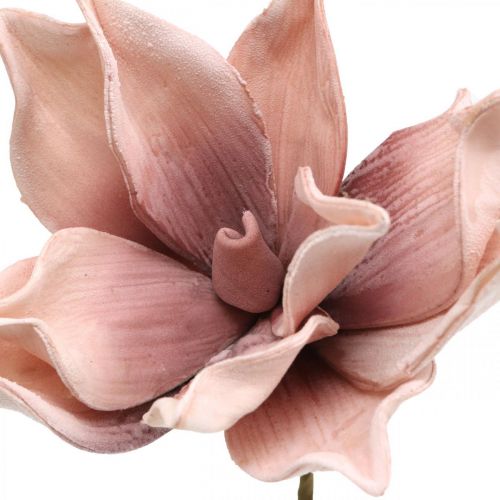 Floristik24 Sztuczna magnolia stary różowy sztuczny kwiat piankowy kwiat Ø10cm 6szt
