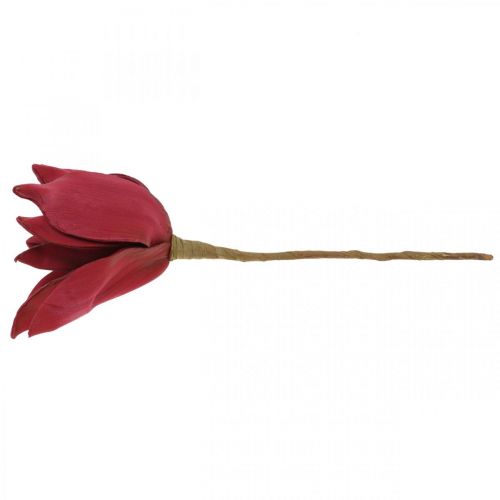 Floristik24 Sztuczna Magnolia Czerwona Sztuczny Kwiat Piankowy Dekoracja Kwiatowa Ø10cm 6szt