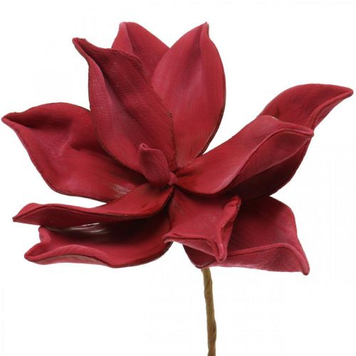 Floristik24 Sztuczna Magnolia Czerwona Sztuczny Kwiat Piankowy Dekoracja Kwiatowa Ø10cm 6szt