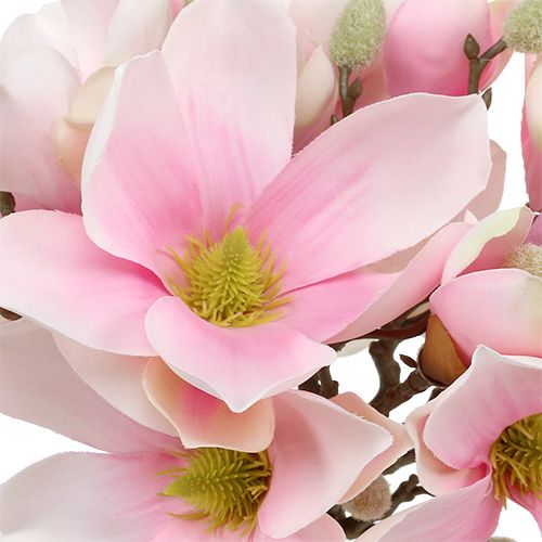 Floristik24 Magnolia wiązanka różowa 40cm 5szt.