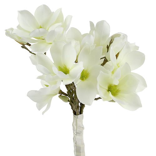 Produkt Pęczek magnolii biały 40cm 5szt