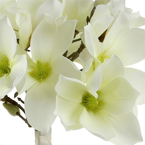 Produkt Pęczek magnolii biały 40cm 5 szt