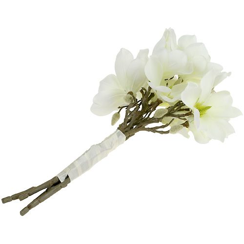Produkt Pęczek magnolii biały 40cm 5 szt