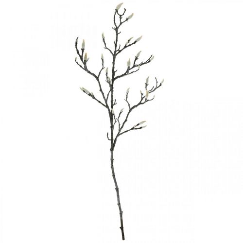 Floristik24 Wiosenna gałąź Magnolia Bud Sztuczna gałąź Brązowa biała L100cm