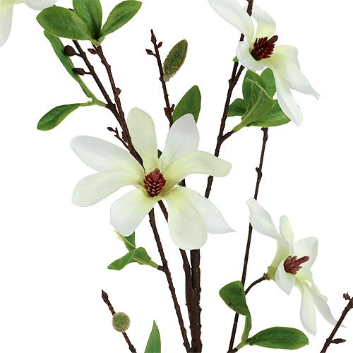 Produkt Gałązka magnolii biało-zielona 94cm