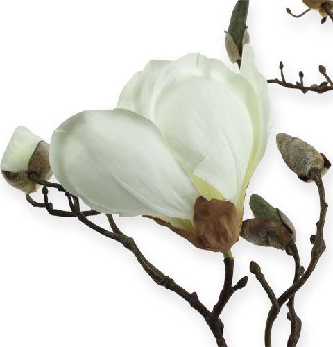 Produkt Gałązka magnolii biała 110cm