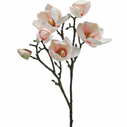 Floristik24 Gałęzi Magnolii Różowe Sztuczne Jedwabne Kwiaty Magnolii