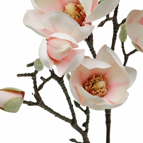 Floristik24 Gałęzi Magnolii Różowe Sztuczne Jedwabne Kwiaty Magnolii
